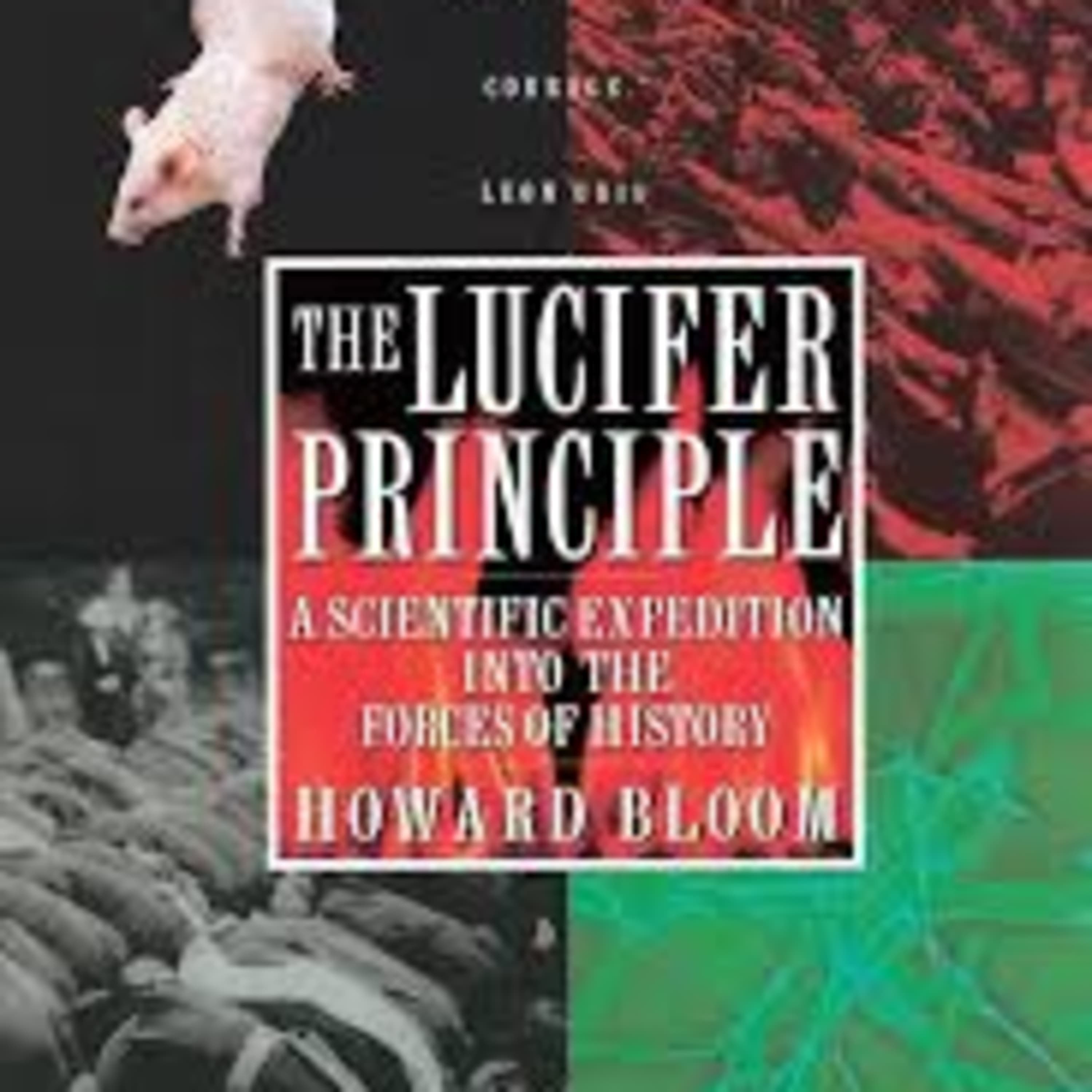 He's Blooming Amazing